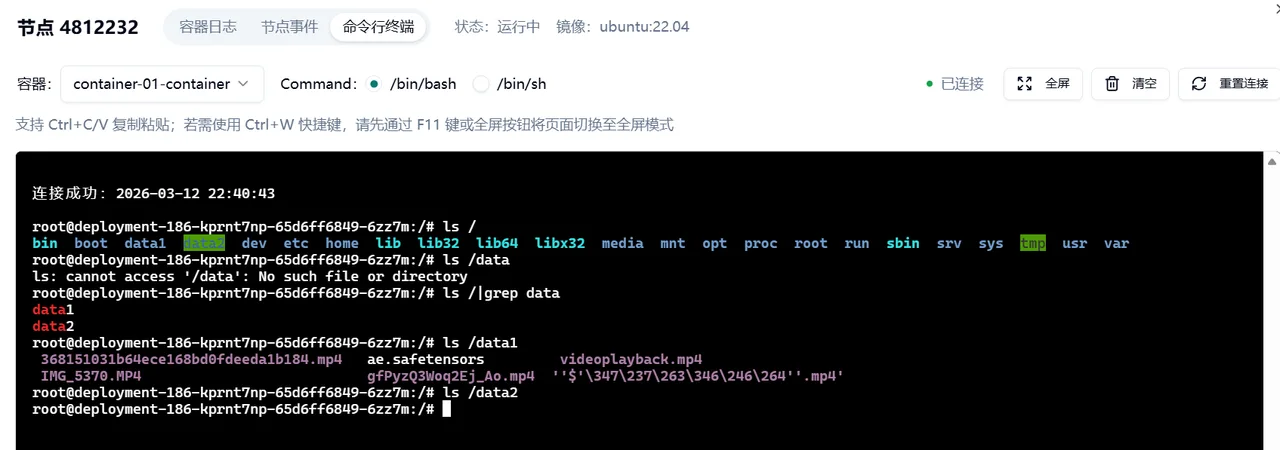终端中查看存储挂载